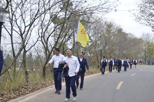 陽光行、快樂游